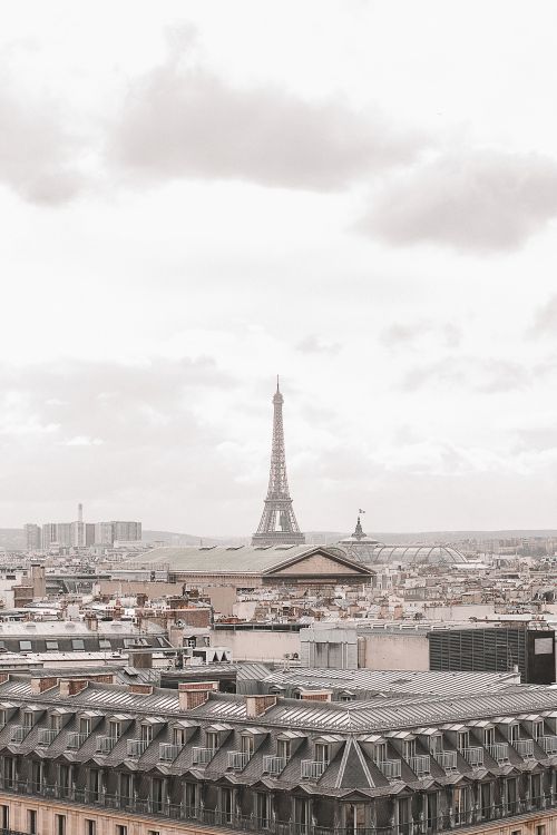 Paris skyline representing France's work visa and immigration landscape.