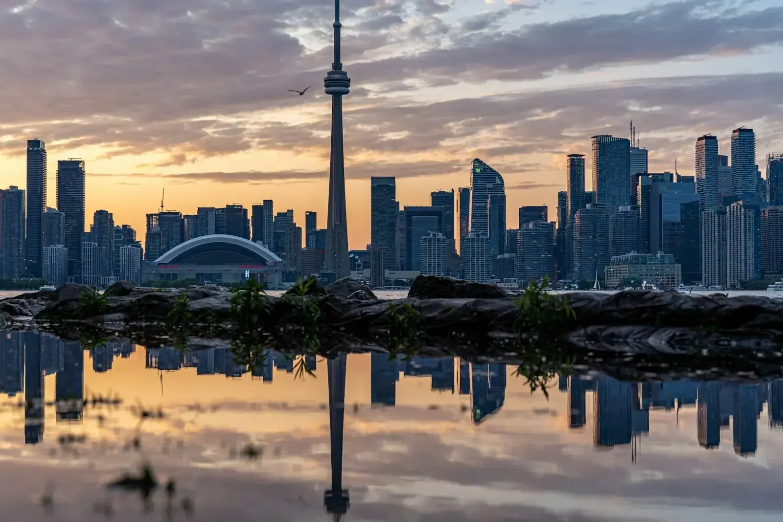 Toronto skyline at dusk symbolizing Canada Express Entry and permanent residence draws